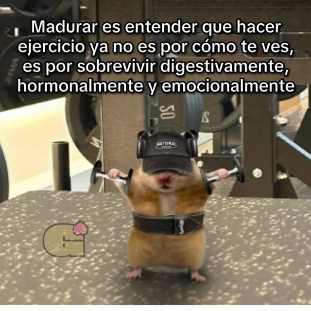 🤭Así, tal cual … 🤣🤭🫣🤫👀💅🏽
.
. 
.
.
Fuente: Sabiduría del Internet
#blogger #booklovers #libros #bookstagram #recomiendoleer #alto_voltaje_emocional