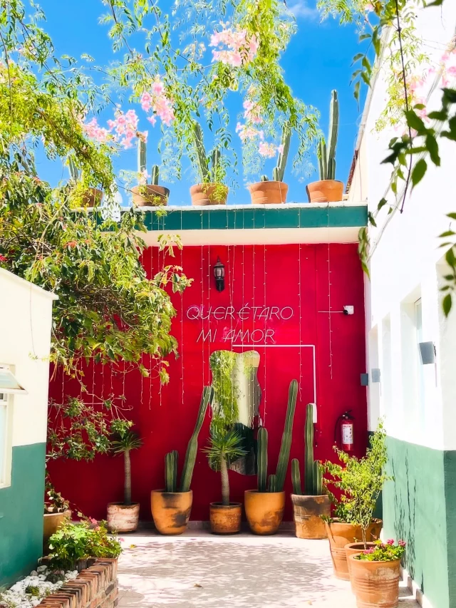 “En México, todo se cuenta dos veces: una con la voz y otra con la memoria.”
— Margo Glantz
.
.
.
#alto_voltaje_emocional #méxico #queretaro #recomiendoleer #blogpersonal