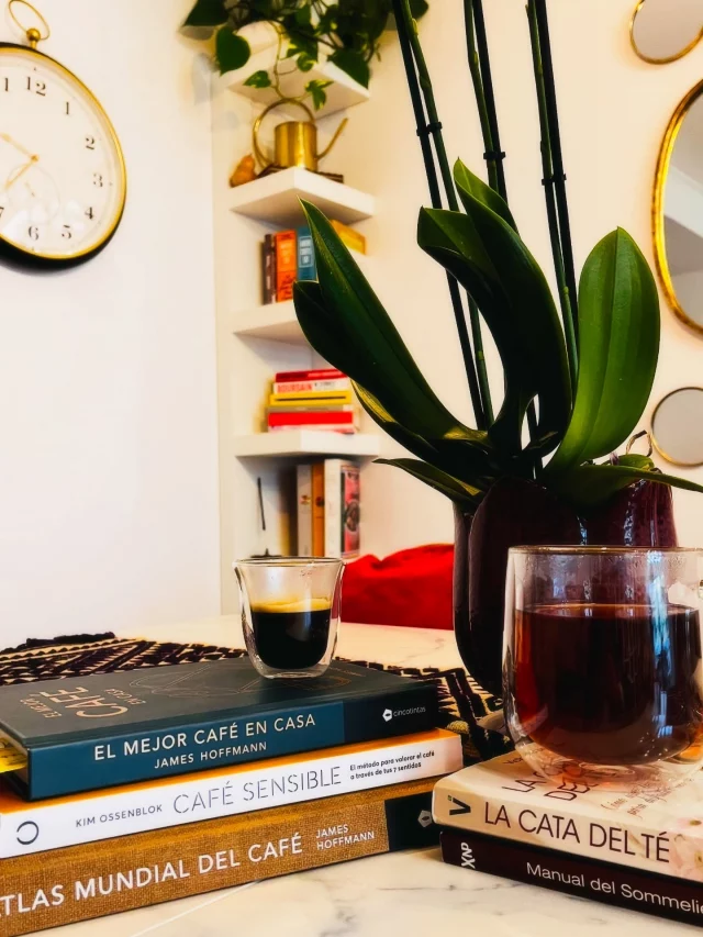 ¿Y si el cafelito también fuera terapia? ☕
Este 2026 quiero más cosas bonitas en mi vida: más música (de eso hablaremos luego), más tés, más infusiones y, sobre todo… más café 🥹
Mi confesión: ¡voy a cumplir un año tomando café! ☕💃🏾
No sabes lo simbólico que es esto para mí. Antes lo había intentado tres veces y las tres terminé con taquicardias, ansiedad y sudores de esos que parecen castigo divino. Literal, yo decía: el café no es pa’ mí.
Pero la vida da vueltas y, entre los mil intentos por apaciguar esta perimenopausia intensa que me trae vuelta loca, vi a mi humanito disfrutando tanto su tacita de café, con esa paz que se le nota hasta en las pestañas, que le pedí que me preparara uno…
Y ahí empezó todo.
Entre miedo y curiosidad, tomé mi primer sorbito y... ¡omaigosh! 😮 Me sentí tan bien, con energía rica, mi mente clarita y dormí sabroso esa noche. ¡Nada de lo que temía!
Así nació mi romance con el cafelito mañanero, y desde entonces se volvió mi ritual favorito de la vida 🥹💛
Y claro, como buena mente intensita (de eso hablaremos otro día jijiji), ahora ya tenemos una libretita donde mi humanito y yo anotamos los métodos, sabores, granos… ¡hasta me metí a cursos este año! Porque quiero saberlo todo.
También lo voy combinando con tés e infusiones que estoy conociendo y amando. Así que se vienen muchos posts cafeteros, infusionados y sabrosones 🫖
Hoy solo quiero desearte eso: una mañana rica, con libro en mano y algo calientito que te haga sentir en casa, donde sea que estés.
Y si tienes alguna recomendación cafetera o tésica (¿eso existe? jiji), se agradece con el corazón. 💛
Gracias por leerme…
Y que tengas un día rete chulo ☀️
.
.
#alto_voltaje_emocional #coffee #cafe #te #2026