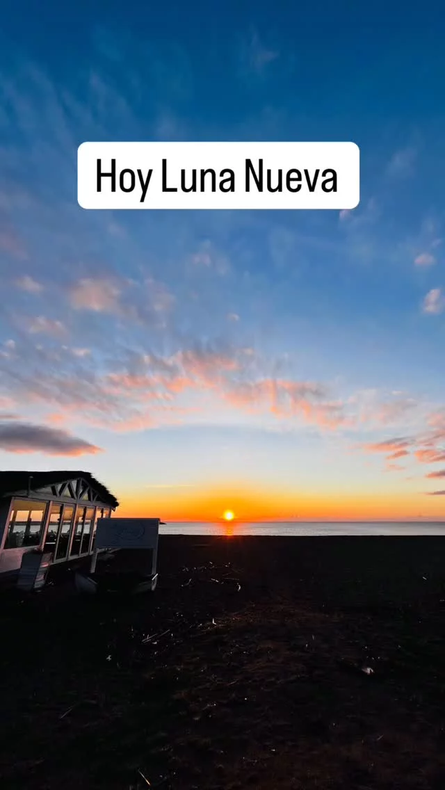 🌑 Primera Luna Nueva del 2026...
Soy la seño de los rituales 🫣🤭 y claro que la luna no se me pasa.
La Luna Nueva es ese momento perfecto para abrir ciclos, sembrar intenciones y reconectar... Aquí va mi mini ritual:
💕 Ritual para Luna Nueva:
•	Limpieza energética (sí, barridita y aromitas para mover la energía).
•	Infusión calientita mientras visualizo lo que deseo cultivar. ☕
•	Escribir con el corazón: ¿Qué versión mía quiero alimentar desde hoy?
Para sembrar en esta lunita:
• Todo lo que necesito está germinando dentro de mí.
• Hoy elijo caminar con suavidad.

Que esta Luna Nueva nos regale claridad, calma y sabiduría.
Y que podamos sembrar lo que el alma nos está pidiendo… 🫶🏽
.
.
#alto_voltaje_emocional #lunanueva #2026 #rituales #gratitud