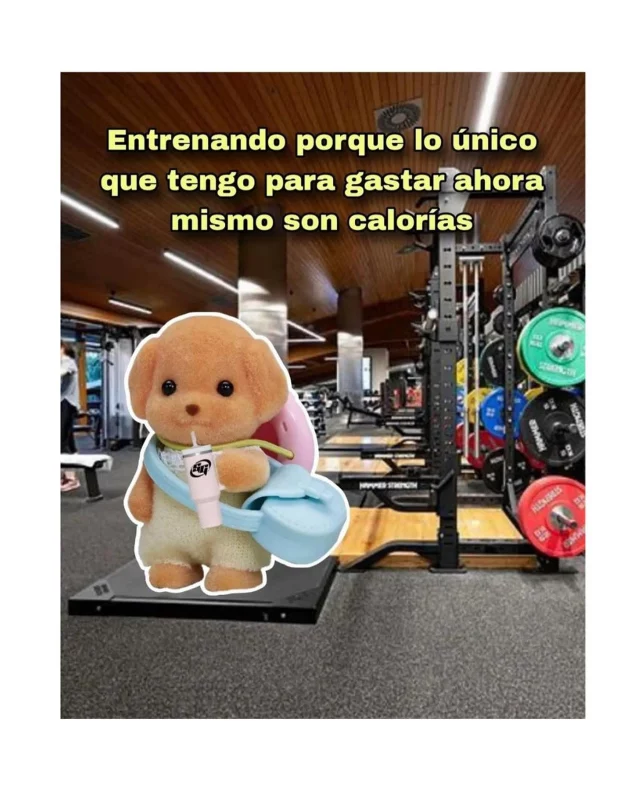 🤭Así, tal cual … 🤣🤭🫣🤫👀💅🏽Con tanta compra de libritos, cursos y cafelitos, ya solo quedan las calorías pa’ gastar, jajaja.


Amo los memes, pa’ eso pago el interneee.
. 
.
.
Fuente: Sabiduría del Internet
#alto_voltaje_emocional #memes #2026