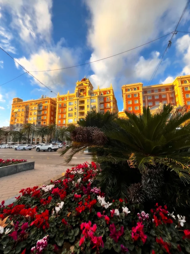 Tenía mucho que no empezaba un año tan chulo. Y no, no es un cambio de actitud, ni positivismo forzado… a veces la vida simplemente te echa la mano.🫶🏽
Gracias, enero, por tantas caricias y también por recordarme lo efímero de todo esto.

Gracias por los reencuentros, los libros, los cafelitos, las infusiones ☕🌿, por las horas (muchas) de estudio que me he aventado este mes y que, para mi sorpresa, estoy disfrutando un montón. Amo despertarme con ilusión por todo lo que estoy aprendiendo.

Hoy enero quiso despedirse bonito y nos dio tregua con la lluvia 🌧️🤍.

Ojalá el año siga bonito. Y cuando se ponga retador —porque seguro pasará—, que no nos falte la energía para volver a levantarnos.
Y para cerrar con broche de oro y despedir bonito a enero: hoy 31, tocaron 31 km 🚴🏽‍♀️

#alto_voltaje_emocional #gratitud #calma #2026