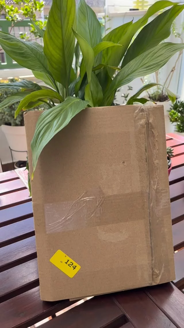 Hay libros que llegan… y sabes que no van a esperar mucho en la fila 🤭📚

Amo tener este nuevo en mi colección 💛
Es bellísimo, como todos los clásicos de Blackie Books.

Ya lo hojeé un poquito…
y algo me dice que se va a colar pronto en mis próximas lecturas 👀📖

Hay libros que simplemente… te llaman. 🫀
.
.
#alto_voltaje_emocional #blackiebooks #tao #bookstagramespaña #libros