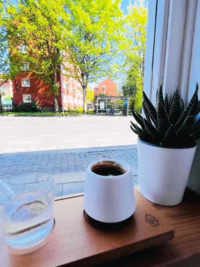 Apuntes de viaje (modo sincera ON) ✍🏽
Hay cosas que este viaje me confirmó…

☀️ El sol sale… y la gente también.
Los parques se llenan como si todos necesitáramos lo mismo: luz y pausa.

☕ No me gusta el café en vaso de cartón.
Lo intento… pero no.
Sí, ya soy señora gruñona 😅
(juro que cambia el sabor).

📚 Amo cómo en Irlanda honran su literatura.
En Hodges Figgis hay un piso entero dedicado al país:
novelas, historia, guías… un sueño para cualquier lector.

📦 Me encontré con agua en envase de cartón…
y con branding de escritor/poeta.
¿Así cómo no amar los detalles?

🏛️ Perderme en la arquitectura de una ciudad…
de mis placeres favoritos.
🎶 Y los músicos callejeros…
siempre haciendo magia sin pedir permiso.
Pero también…
vi muchas caras largas atendiendo.
Y eso me pesa.
Porque hay lugares —como librerías y cafeterías—
que deberían sentirse como refugio.
Y cuando falta la amabilidad… se nota.
Así los viajes:
te llenan… pero también te hacen observar distinto.

Pd. Se me atravesó una última compra de un librito 🤭🫣 

¿Les ha pasado? 👀
.
.
#alto_voltaje_emocional #dublin #blogpersonal #librerias #coffeelover