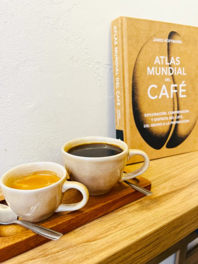 Pfff… de esas semanitas que salen bien y se sienten todavía mejor 🤭

Hubo un poquito de todo:

🌸 Por fin conocimos los Patios de Córdoba y sí, valieron totalmente la espera.

🏨 Nos quedamos en un hotel mega chulo, pero lo mejor fue la gente tan amable. De verdad qué diferencia hace sentirse bien recibido.

☕️ Hubo cafelitos muy deli (porque claramente no pueden faltar).

📚 Obvio también me traje unas “inversiones” jiji… unos libritos muy interesantes que ya les iré enseñando.

Y aquí viene el combo felicidad completa: uno de los patios tenía una mini librería&editorial para promover su propia editorial. O sea… flores + libros = claramente mi tipo de lugar 🫠

⚽️ Además, uno de mis equipos favoritos se volvió a coronar, y aunque cada vez me cuestiono más mi amor por el fut, aún así disfruté ese triunfo 🏆

🗳️ También nos tocó votar y, después de clavarme muchísimo leyendo propuestas, perfiles y resultados, terminé votando por lo que creo que era lo menos peor. Así la vida adulta.

Y bueno, la semana también me dejó lecturas buenísimas de las que les quiero platicar prontito.

Así esta semanita  🫶🏽

#alto_voltaje_emocional #españa #coffelover #libros #andalucia
