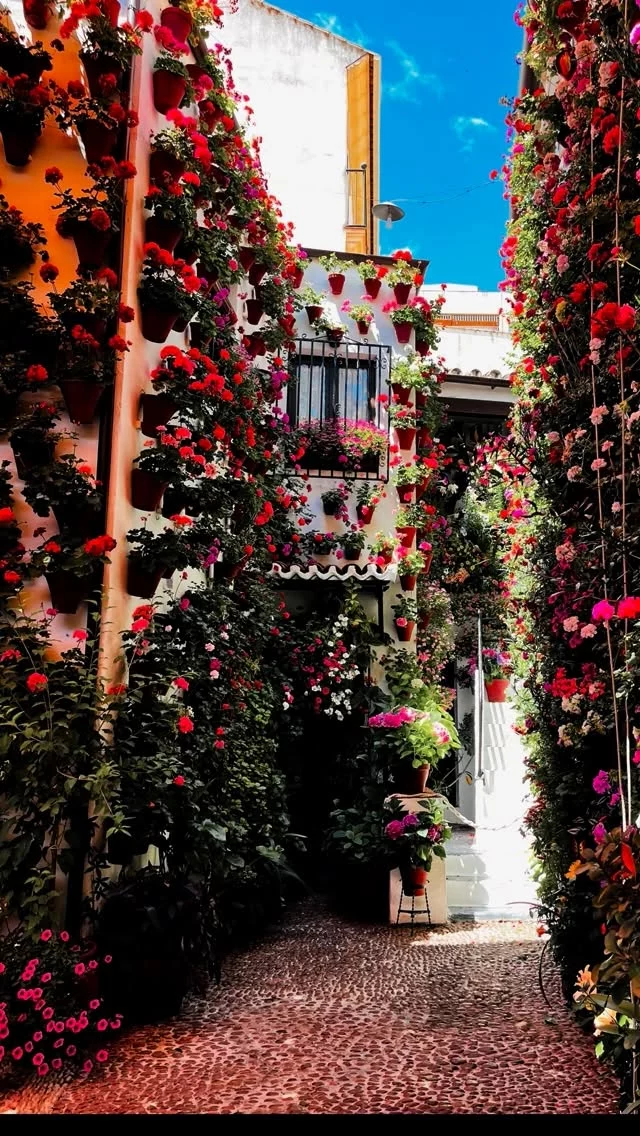 Hay lugares que uno sueña durante años… y luego, por fin, suceden 🌸🫶🏽

Tenía muchísimo tiempo queriendo conocer los Patios de Córdoba y, por fin, se me hizo 🥹

Y qué cosa tan chulísima… 
No sé qué me gustó más: las flores, los colores, las macetas por todos lados o esa sensación de entrar a espacios tan cuidados, tan vivos, tan llenos de historia y cariño.

Porque sí, detrás de cada patio hay muchísimo amor, trabajo y paciencia 🌺

Ya la próxima semana les contaré cuál fue mi patio favorito, porque hubo uno que de verdad me robó el corazón 🤭

Qué suerte vivir en una Andalucía tan bonita, tan llena de rincones que siempre logran sorprender.

Bonito domingo 😘 

#alto_voltaje_emocional #cordoba #lospatios #flores #españa