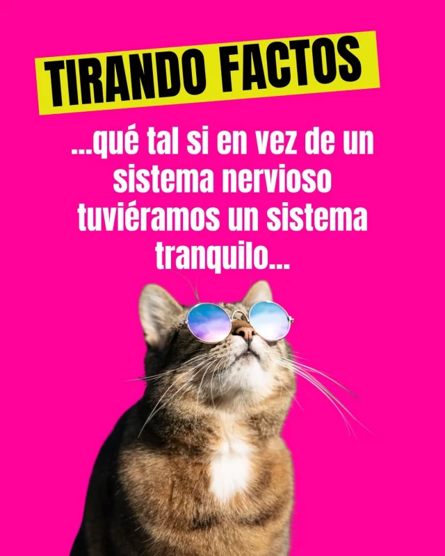 🤭Así, tal cual … 🤣🤭🫣🤫👀💅🏽 Confesión: yo si prefiero un sistema tranquilo jijiji…🙌🏽🤣
.
. 
.
.
Fuente: Sabiduría del Internet
#blogpersonal #alto_voltaje_emocional #meme #perimenopausia #cuarentona