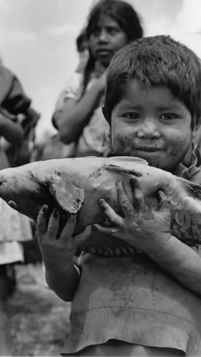 Hay fotografías que no solo se miran… se sienten.

Hoy se cumple un año de la partida de Rodrigo Moya, uno de los grandes fotógrafos documentales de América Latina.

Sus imágenes no buscaban la pose perfecta. Buscaban contar quiénes somos. Retrató la vida cotidiana, la desigualdad, la alegría, la dignidad y las contradicciones de todo un continente.

Estas son algunas de mis fotografías favoritas. No porque sean las más famosas, sino porque cada vez que vuelvo a ellas descubro un detalle nuevo, una emoción distinta, una historia que no había visto.

Vivimos haciendo scroll a toda velocidad. Ojalá este reel nos regale un minuto para hacer justo lo contrario: detenernos a mirar.

Porque una gran fotografía no solo captura el mundo; también nos enseña a observarlo.

¿Cuál de estas imágenes se quedó contigo? 🤍
.

#alto_voltaje_emocional #rodrigomoya #fotografia #méxico #blogpersonal