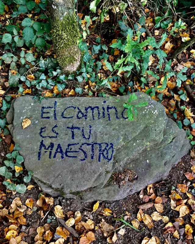 Hace algunos años hice el Camino de Santiago buscando una revelación. Y, como suele pasar, la vida tenía otros planes.

Siempre me ha gustado meterme en experiencias que me ayuden a descubrir algo de mí. Así que, cuando empecé a escuchar historias sobre el Camino de Santiago, mis expectativas no estaban altas… estaban por las nubes. 🤭

Mi humanito y yo nos aventuramos. Como buenos novatos, cargamos de más, estrenamos algún accesorio y descubrimos que caminar tantos kilómetros tiene sus consecuencias. 😂

Hubo paisajes que me dejaron en silencio, comida que nos hizo muy felices y algún que otro momento de estrés. También hubo una noche en la que unas chinches decidieron darse un festín con mi humanito. Y todavía no entiendo por qué lo eligieron a él si yo tengo más carnita. Jiji.

Llegamos a Santiago. Vimos la Catedral, nos abrazamos y pensé: ¿y ahora qué?

Pero las lágrimas no llegaron ahí.

Llegaron después, sentados y descansando, cuando vimos entrar a otros peregrinos. Algunos lloraban; otros tenían en el rostro esa mezcla de cansancio, alivio y gloria que solo se puede entender después de haber llegado.

Y entonces me cayó el veinte:

Yo había ido buscando una revelación.

Esperaba que el Camino me dijera algo sobre mi vida, que me regalara una respuesta, que ocurriera algo.

Y no ocurrió.

Hasta que entendí que esa era la respuesta.

No encontré nada porque no había nada que encontrar.

Mi camino ya estaba hecho.

Solo tenía que caminarlo, habitarlo y, sobre todo, disfrutarlo.

Miré a mi humanito y pensé que quizá el camino no estaba allá afuera. Quizá nosotros éramos el camino.

Cada quien llega con su propia historia, sus preguntas, sus pérdidas, sus ilusiones y sus razones para caminar. Y todas son válidas.

Tal vez por eso me gusta tanto esta idea: caminante, no hay camino; se hace camino al andar.

Yo fui a buscar respuestas y terminé llevándome algo mucho más sencillo:

A veces la vida no necesita que encontremos nada. Solo que nos demos cuenta de que ya estamos aquí.

Y ya que estamos aquí… pues vamos a gozarla. ❤️
.
.
.
#alto_voltaje_emocional #caminodesantiago #blogpersonal #reflexiones #españa