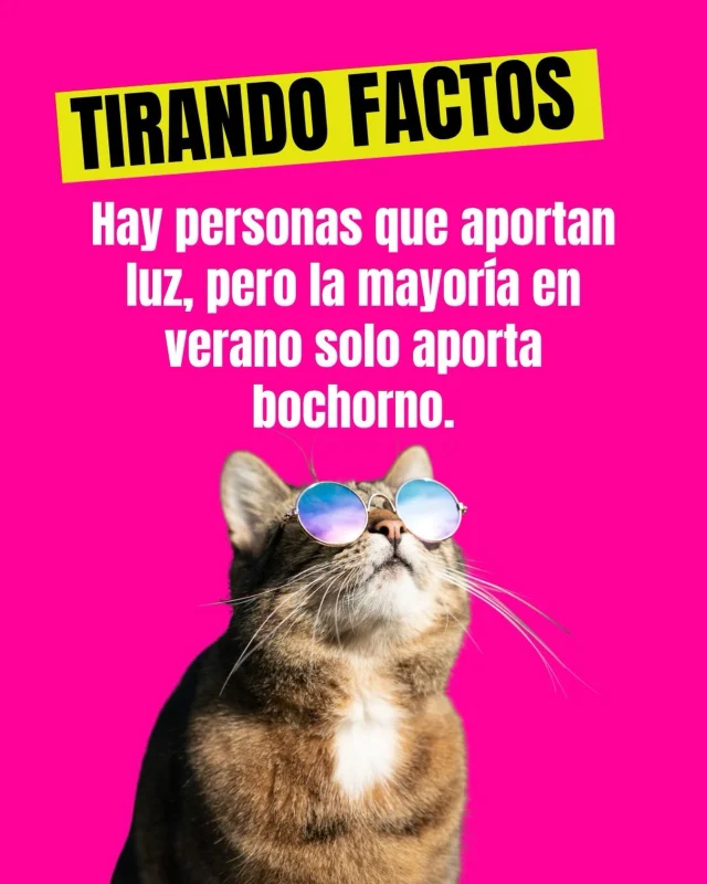 Mi sistema nervioso pide vacaciones de la humanidad. 😂

Este verano he intentado activar mi positividad —que, por cierto, no viene incluida de fábrica— para convivir con los humanitos… pero no más no se deja. 🤭

Entre los vecinos borrachos cantando de madrugada, los pasos de cebra convertidos en decoración, la señora enterrando la popó de su perrito en la playa, los que creen que en verano recogerla es opcional y la señora que quiso colarse en la fila del súper porque «tenía mucha prisa»… pfff.
Humanitos, ya bájenle unas rayitas. 😂

Y de las redes sociales y la televisión mejor ni hablamos, que también necesitamos cuidar la presión arterial. Jiji.
Al final, creo que todos queremos lo mismo: un poquito de paz y un mundo que se antoje habitar, disfrutar y compartir.

Así que, humanitos… portémonos tantito mejor. 🤭
.
.
#alto_voltaje_emocional #tirandofactos #cuarentona #blogpersonal #meme