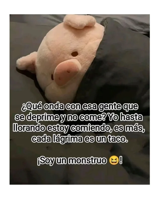🤭Así, tal cual … 🤣🤭🫣🤫👀💅🏽 

Las depres con tacos se alivian jiji 🙌🏽🤣
.
. 
.
.
Fuente: Sabiduría del Internet
#blogpersonal #libros #meme #perimenopausia #alto_voltaje_emocional