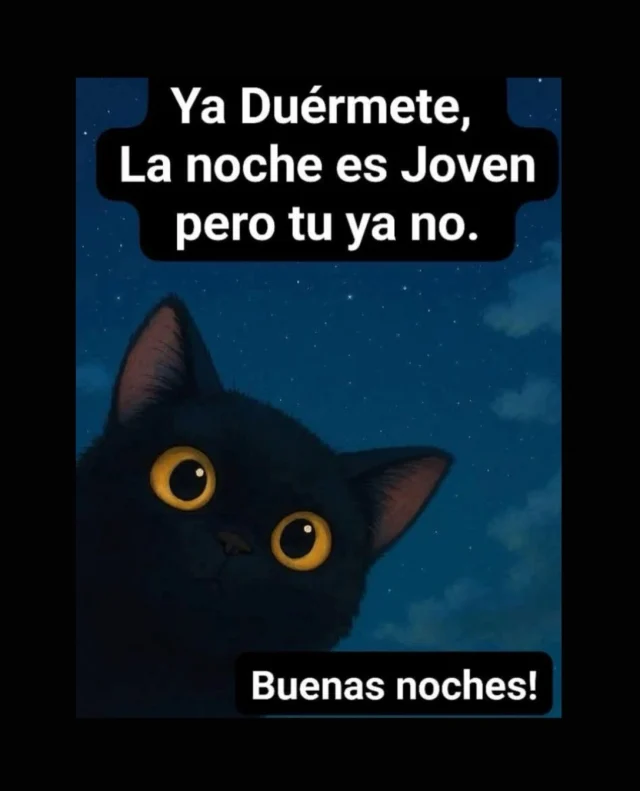 🤭Así, tal cual … 🤣🤭🫣🤫👀💅🏽 

Bueno, sí soy joven, pero ya no tanto tanto, jiji 🙌🏽🤣
.
. 
.
.
Fuente: Sabiduría del Internet
#blogpersonal #libros #meme #perimenopausia #alto_voltaje_emocional