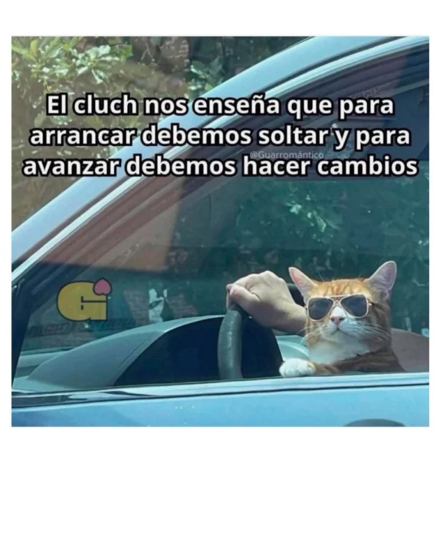 🤭Así, tal cual …🤫👀💅🏽 

Puritita sabiduría de la buena
.
. 
.
.
Fuente: Sabiduría del Internet
#blogpersonal #alto_voltaje_emocional #cuarentona #reflexion #sabiduriapopular