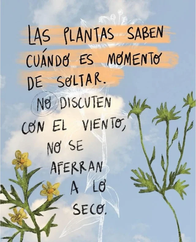 ❤️Así, tal cual…❤️🥰🤝🏽🫶🏽
.
.
.
Fuente: Sabiduría del Internet
#alto_voltaje_emocional #blogpersonal #cuarentona #reflexiones