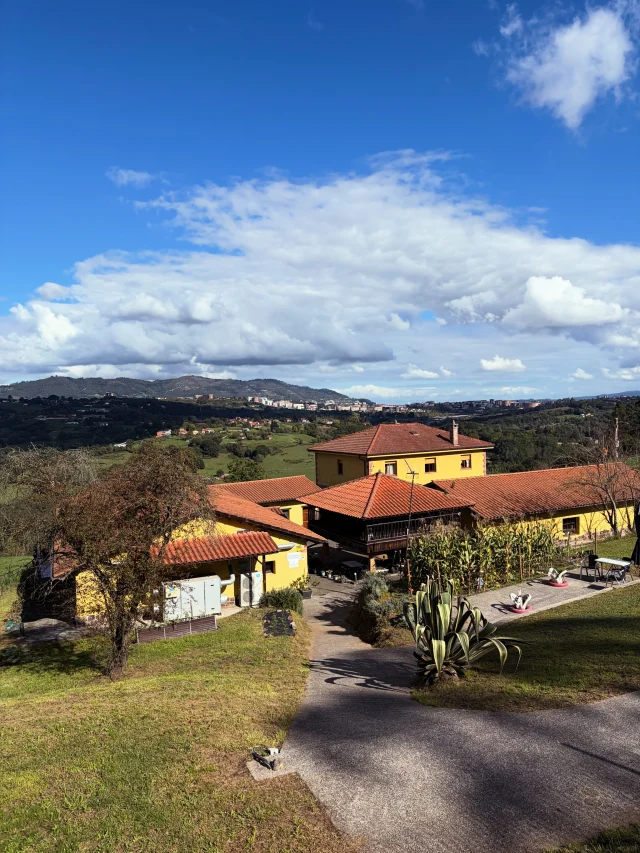 «La comida es el lugar donde la cultura y la naturaleza se encuentran». — Alice Waters

Qué chulada encontrar lugares con tanta alma. De esos en los que cada rincón parece tener una razón de ser y, desde que entras, sabes que aquí las cosas se hacen con pasión, entrega y respeto por la cocina y sus ingredientes.

En Casa Chema, en Oviedo, te sientes como en casa: el servicio es fenomenal, la comida espectacular y todo tiene ese algo que no se consigue con una decoración bonita, sino con mucho trabajo y cariño por lo que se hace.

Pero confieso que mi corazón dio un saltito al descubrir su milpa y ver esas mazorcas listas para disfrutarse. 🌽❤️ ¡Una, que tiene sus debilidades!

Qué privilegio encontrar sitios que te recuerdan que detrás de un buen plato hay tierra, cultura, conocimiento y muchas manos.

Y qué gusto da sentarse a la mesa cuando se nota que quien cocina tiene algo que contar.

Gracias, Casa Chema, por recordarnos que comer también es una forma de conocer y respetar un lugar. Y al responsable de todo esto… ¡mis respetos! Aunque después de semejante experiencia, ahora toca gestionar las expectativas para la próxima comida. 😂🤎
.
.
.


#alto_voltaje_emocional #oviedo #casachema #gastronomia #viajes